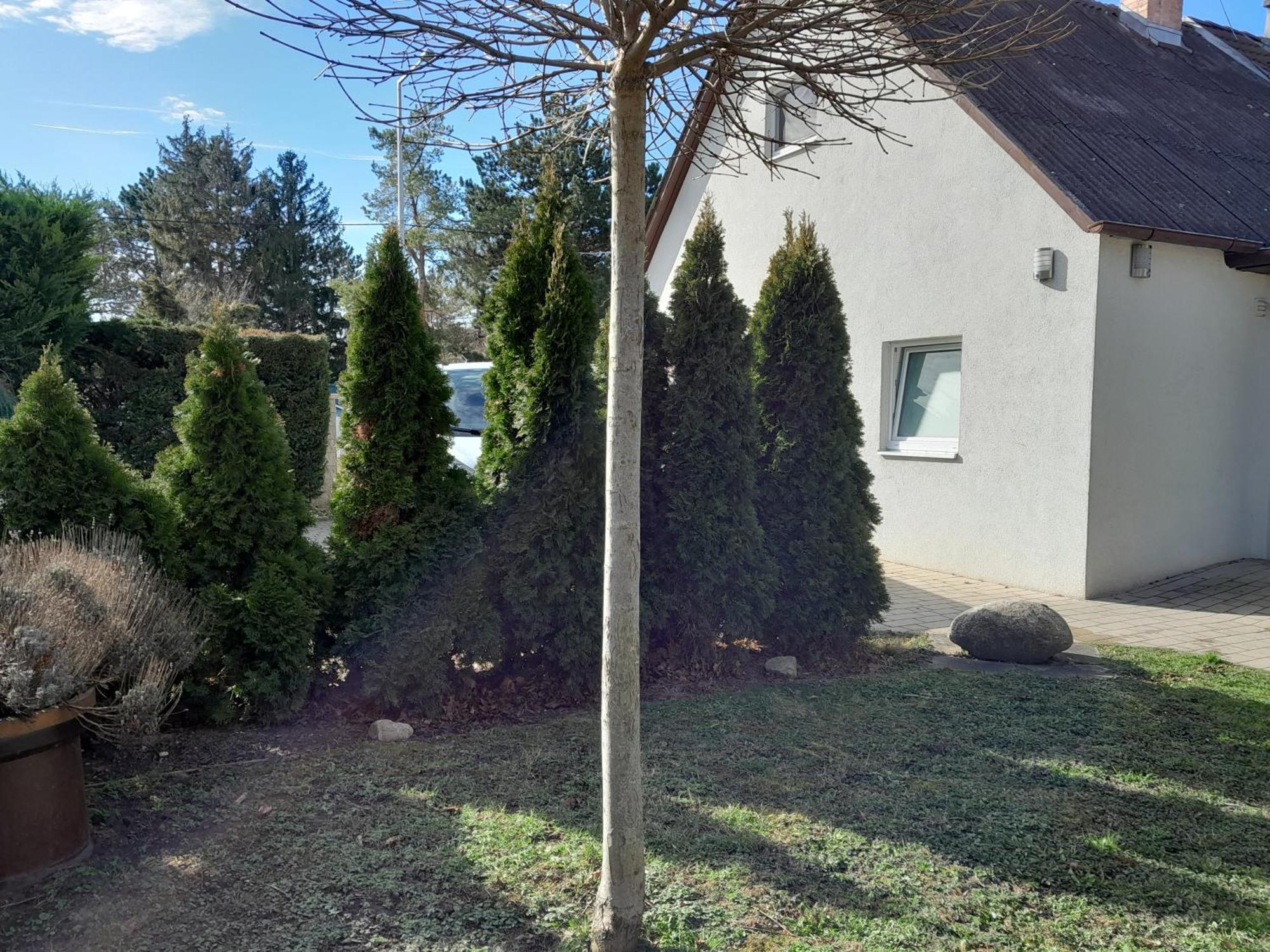 Weißbacher Ferienhaus *